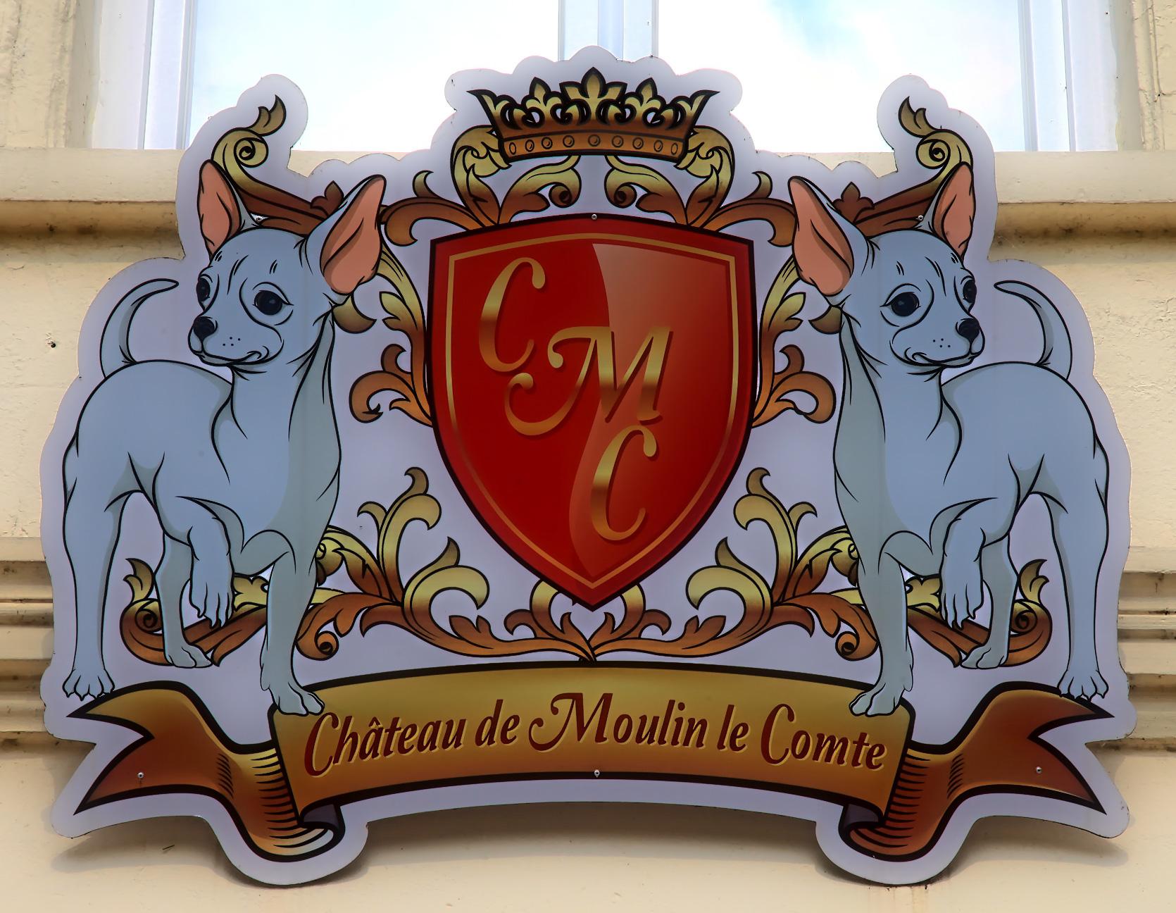 Chateau De Moulin Le Comte 4*